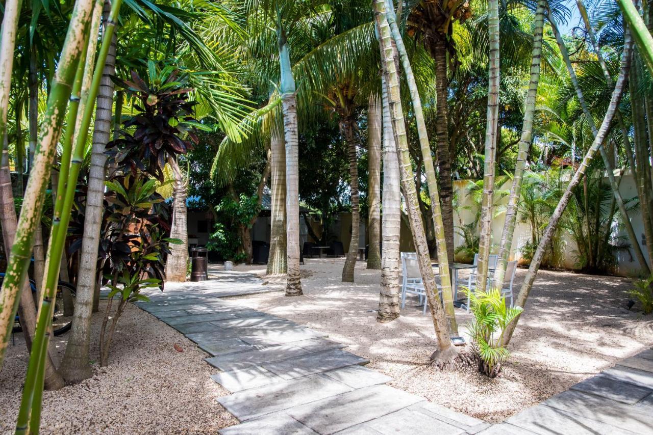 La Margarita Hotel Pointe-aux-Piments Eksteriør billede