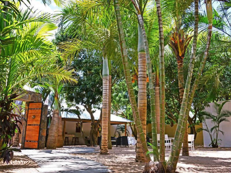 La Margarita Hotel Pointe-aux-Piments Eksteriør billede