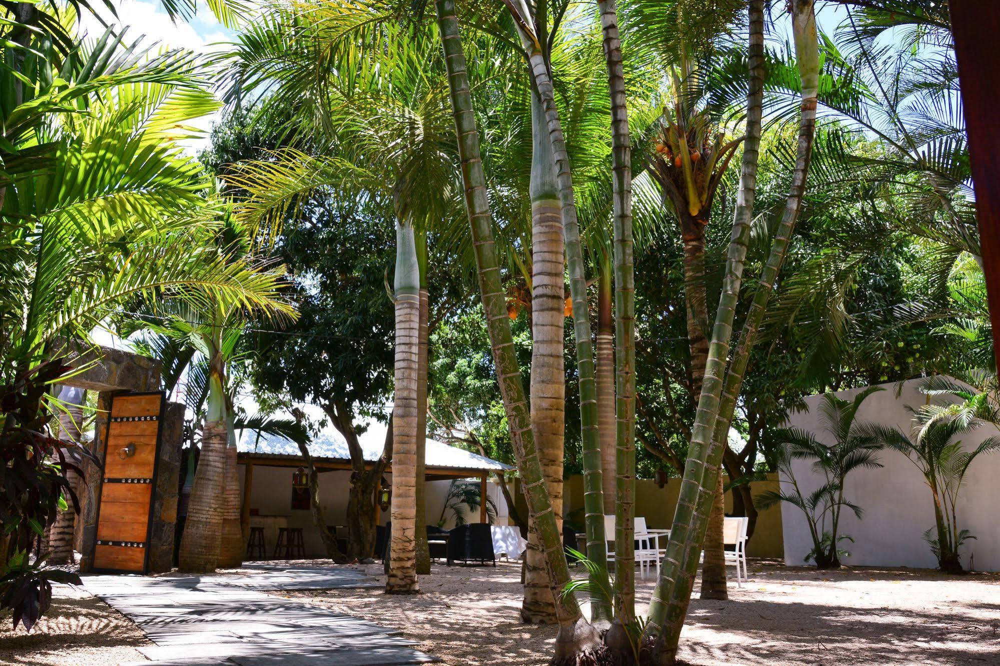 La Margarita Hotel Pointe-aux-Piments Eksteriør billede